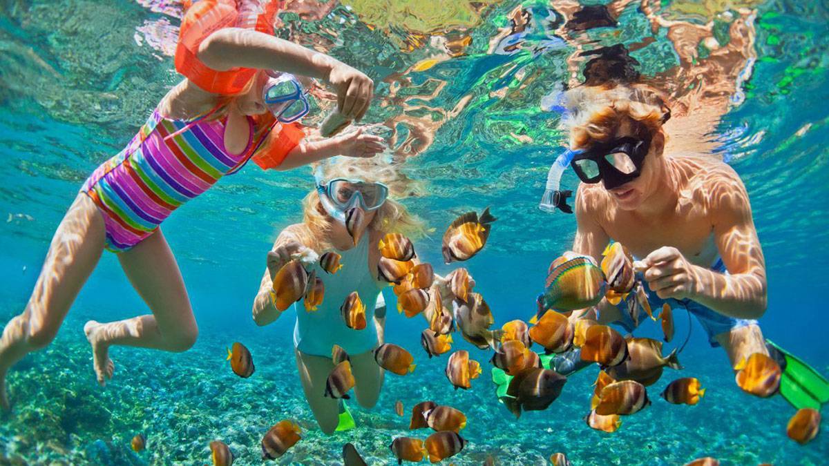 Happy family - father, mother, child in snorkeling mask dive underwater with tropical fishes in coral reef sea pool. Travel lifestyle, water sport adventure, swimming on summer beach holiday with kids